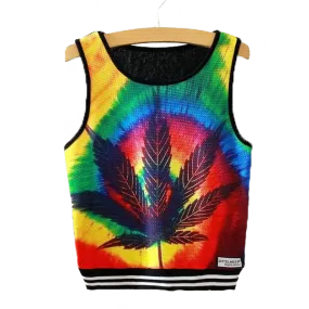 Dank Master Rainbow Weed Crop Top